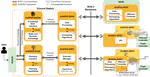 AUSPEX in SAR Operations: An Integrated Open-Source Decision-Making Framework for UAVs in Rescue Missions